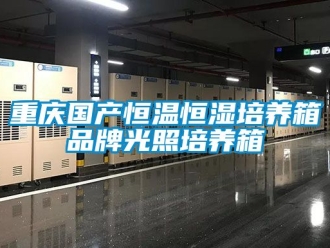 知識百科重慶國產恒溫恒濕培養箱品牌光照培養箱