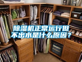 行業(yè)新聞除濕機正常運行但不出水是什么原因？