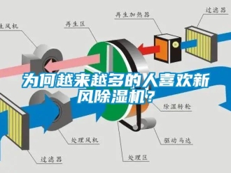 知識百科為何越來越多的人喜歡新風除濕機？