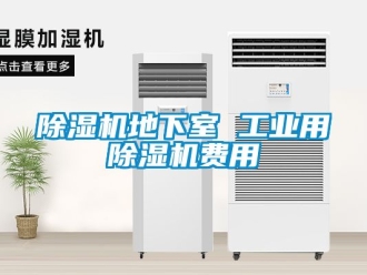 常見問題除濕機地下室 工業(yè)用除濕機費用