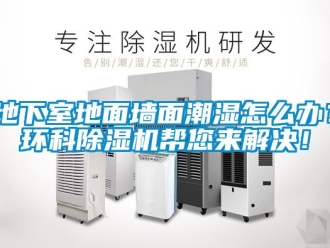 常見(jiàn)問(wèn)題地下室地面墻面潮濕怎么辦？環(huán)科除濕機(jī)幫您來(lái)解決！