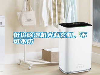 企業(yè)新聞低價(jià)除濕機(jī)大有玄機(jī)，不可不防