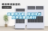 草果烘干機 排濕快表皮不發(fā)黑品質(zhì)好