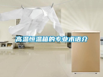 知識(shí)百科高溫恒溫箱的專業(yè)術(shù)語(yǔ)介