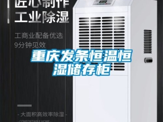 知識百科重慶發條恒溫恒濕儲存柜