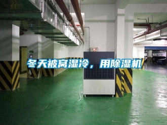 企業新聞冬天被窩濕冷，用除濕機