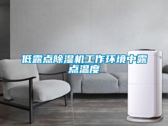 企業(yè)新聞低露點(diǎn)除濕機(jī)工作環(huán)境中露點(diǎn)溫度