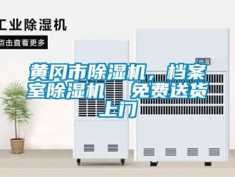 行業新聞黃岡市除濕機，檔案室除濕機  免費送貨上門
