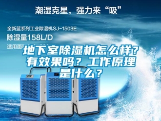 常見問題地下室除濕機怎么樣？有效果嗎？工作原理是什么？