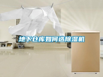 常見問題地下倉(cāng)庫(kù)如何選除濕機(jī)