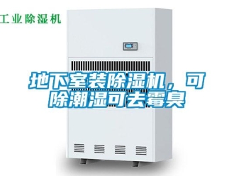 企業(yè)新聞地下室裝除濕機，可除潮濕可去霉臭
