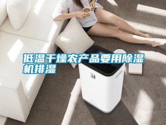 企業(yè)新聞低溫干燥農(nóng)產(chǎn)品要用除濕機(jī)排濕