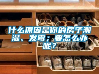 常見問題什么原因是你的房子潮濕、發(fā)霉；要怎么辦呢？