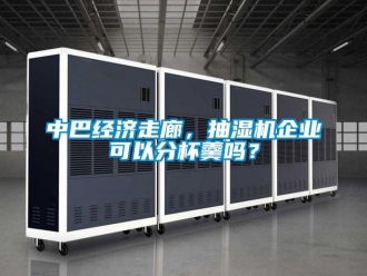 常見問題中巴經濟走廊，抽濕機企業可以分杯羹嗎？