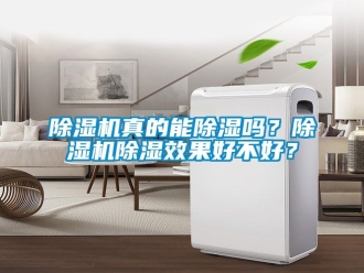 行業(yè)新聞除濕機真的能除濕嗎？除濕機除濕效果好不好？