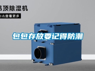 常見問(wèn)題包包存放要記得防潮