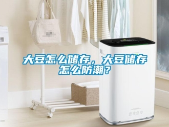 常見問題大豆怎么儲存，大豆儲存怎么防潮？