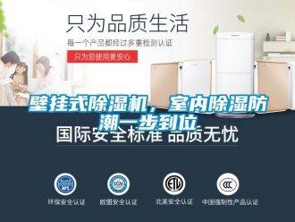 常見問題壁掛式除濕機，室內(nèi)除濕防潮一步到位