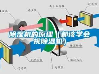 企業(yè)新聞除濕機(jī)的原理（都該學(xué)會挑除濕機(jī)）