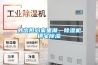 外出擔(dān)心家里潮，除濕機(jī)鎮(zhèn)宅除濕