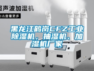 企業(yè)新聞黑龍江鶴崗CFZ工業(yè)除濕機(jī)，抽濕機(jī)、加濕機(jī)廠家