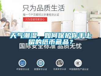 常見問題天氣潮濕，如何保護你手上留的紙幣藏品？