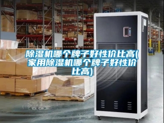 常見問題除濕機(jī)哪個(gè)牌子好性價(jià)比高(家用除濕機(jī)哪個(gè)牌子好性價(jià)比高)
