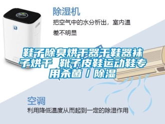 行業(yè)新聞鞋子除臭烘干器干鞋器襪子烘干 靴子皮鞋運(yùn)動鞋專用殺菌／除濕