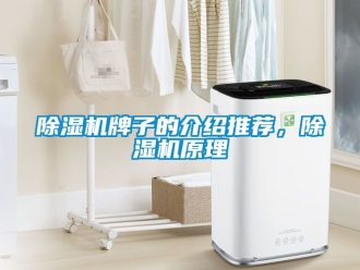 行業(yè)新聞除濕機(jī)牌子的介紹推薦，除濕機(jī)原理