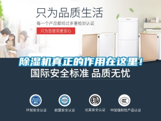 行業(yè)新聞除濕機(jī)真正的作用在這里！