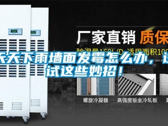 常見問題天天下雨墻面發霉怎么辦，試試這些妙招！