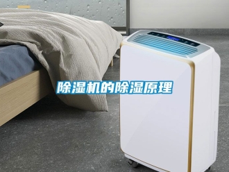 企業新聞除濕機的除濕原理