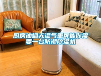 企業新聞廚房油煙大濕氣重可能你需要一臺防潮除濕機