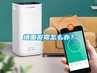常見問題墻面發(fā)霉怎么辦？