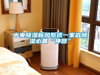 知識百科中央除濕新風(fēng)系統(tǒng)一家庭除濕必備“神器”