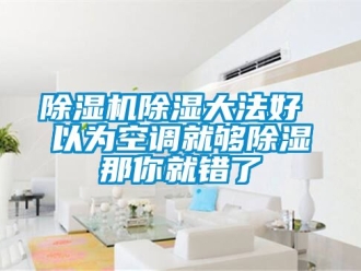 企業(yè)新聞除濕機(jī)除濕大法好 以為空調(diào)就夠除濕那你就錯(cuò)了
