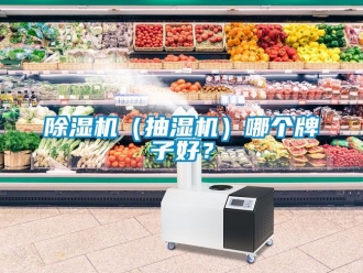 企業(yè)新聞除濕機(jī)（抽濕機(jī)）哪個(gè)牌子好？