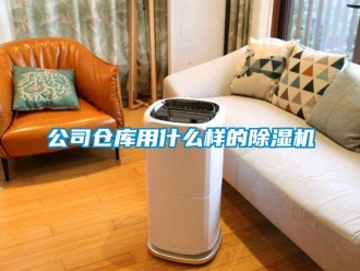 企業(yè)新聞公司倉(cāng)庫(kù)用什么樣的除濕機(jī)