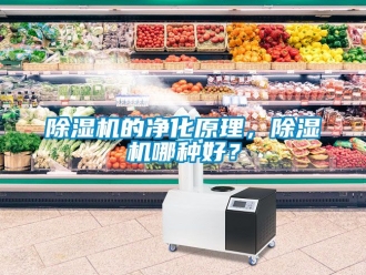 企業新聞除濕機的凈化原理，除濕機哪種好？
