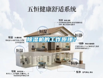 企業(yè)新聞除濕機(jī)的工作原理？