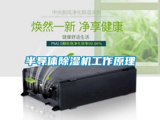 常見問題半導(dǎo)體除濕機(jī)工作原理
