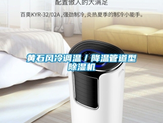 行業新聞黃石風冷調溫／降溫管道型除濕機