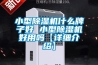 小型除濕機什么牌子好 小型除濕機好用嗎【詳細介紹】