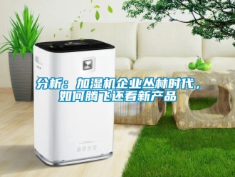 常見問題分析：加濕機企業叢林時代，如何騰飛還看新產品