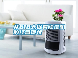 企業(yè)新聞從618大促看除濕機(jī)的經(jīng)營現(xiàn)狀