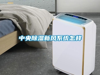 常見問題中央除濕新風系統怎樣