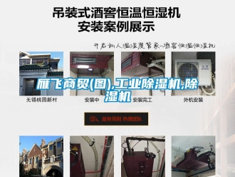 常見問題雁飛商貿(圖),工業除濕機,除濕機