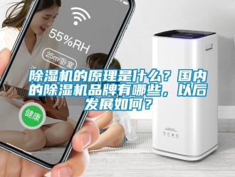 企業(yè)新聞除濕機(jī)的原理是什么？國內(nèi)的除濕機(jī)品牌有哪些，以后發(fā)展如何？