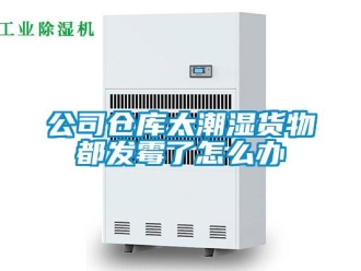 常見問題公司倉庫太潮濕貨物都發霉了怎么辦