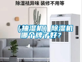 企業(yè)新聞（抽濕機(jī)）除濕機(jī)哪個(gè)牌子好？